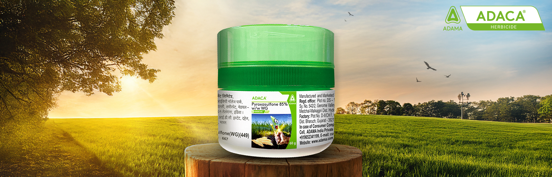 Adama herbicide product packaging, featuring the logo, product name, and key information, displayed on a wooden stump with a field background. Design created by Greysell.