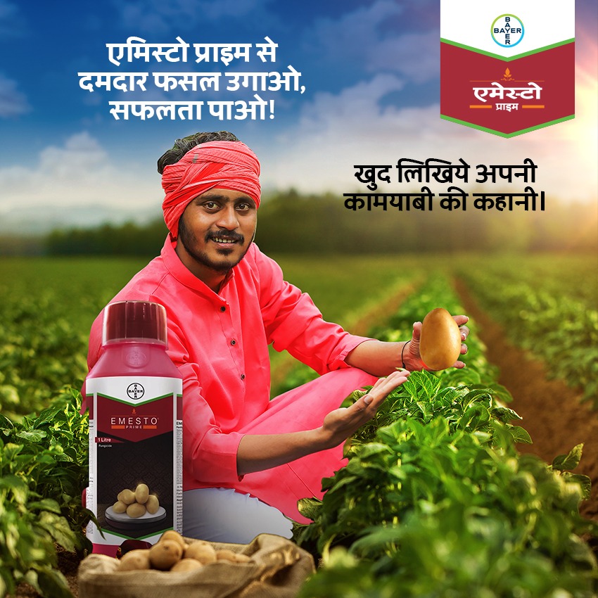 Bayer Emesto Prime visual with Hindi tagline तोलो कामयाबी किलो में भी, क्वालिटी में भी (Tolo Kamyabi Kilo Mein Bhi, Quality Mein Bhi - Measure success in kilos as well as in quality). Design by Greysell.