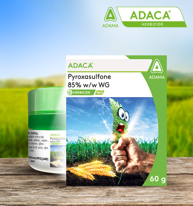 Adaca Herbicide: Packaging design by Greysell, a leading packaging design agency, showcases a vibrant green and white container with the product name and active ingredient (Pyroxasulfone 85% w/w WG) prominently displayed.